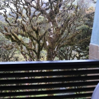 Najpiękniejsza toaleta jaką widziałem.