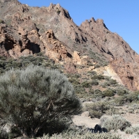 Kaldera wulkanu Teide.