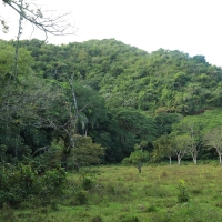 Park Narodowy Los Haitises