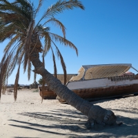 Wybrzeże morza Czerwonego