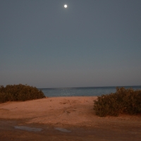 Wybrzeże morza Czerwonego