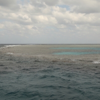 Park Narodowy Wadi el Gemal