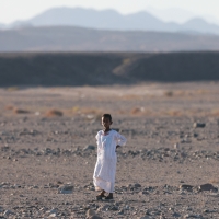 Park Narodowy Wadi el Gemal