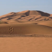 Sahara