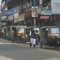 Przejazd do Mudumalai