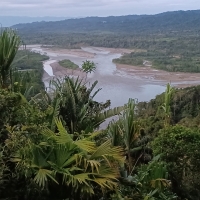 Rzeka Madre de Dios - dopływ Amazonki